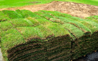 Marietta-Sod-Installers-Near-Me