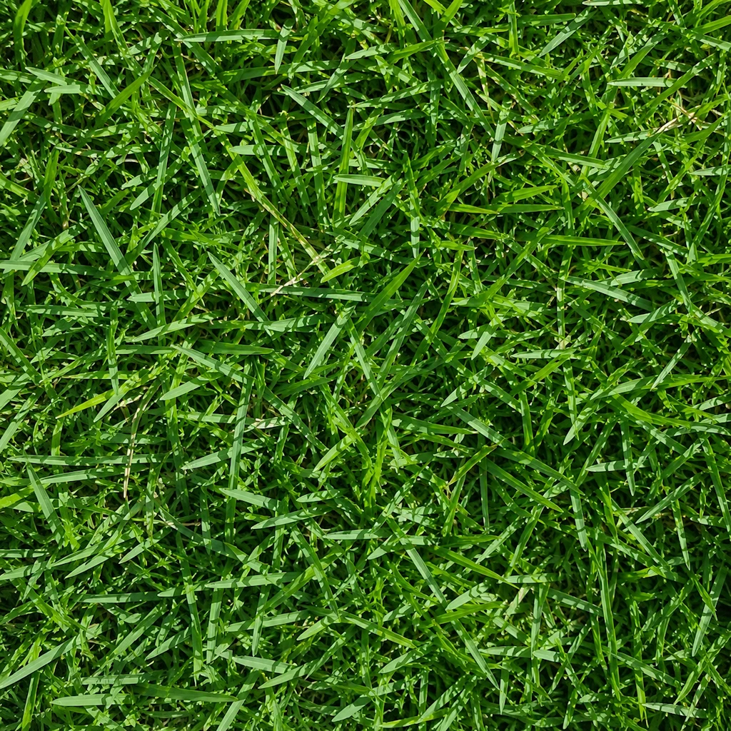 Marietta sod installation and fresh lawn turf
