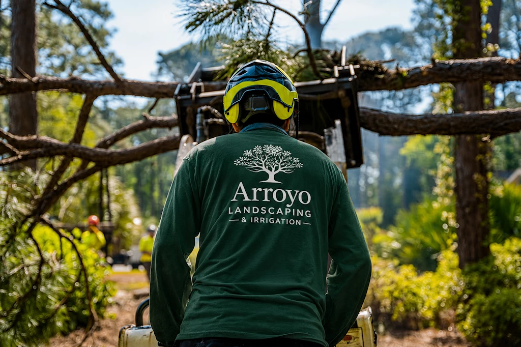 Tree removal service near Atlanta Georgia